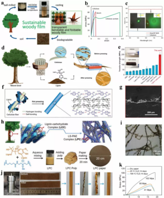 Green Chemistry綜述:先進(jìn)、多功能木質(zhì)素基生物降解復(fù)合膜材料助力可持續(xù)發(fā)展