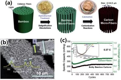中科大俞漢青EES綜述:生物碳基材料在能量儲存與轉換中的應用
