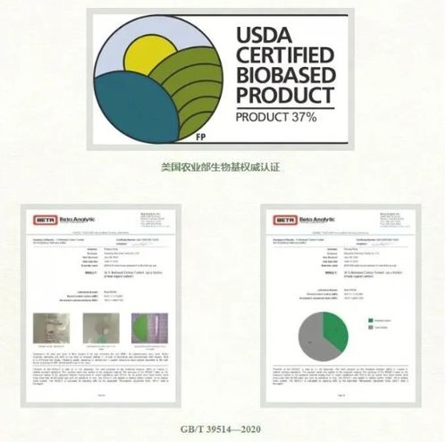 中國成為生物基涂料發展最快的區域
