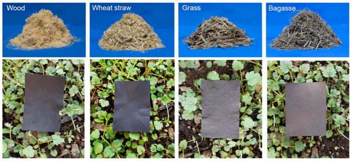 繼"木頭玻璃"之后再創突破!胡良兵創新性合成"木頭塑料",三個月即可完