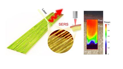 《Nano Letters》刊發(fā)我校葉冬冬教授團隊在纖維素食品安全檢測領(lǐng)域研究成果
