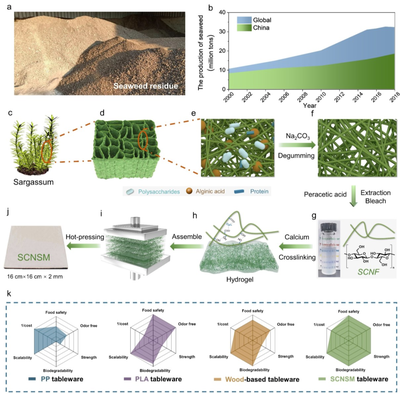 中科大俞書宏院士團(tuán)隊(duì)AM:可食用、超強(qiáng)、熱穩(wěn)定好的海藻基結(jié)構(gòu)材料,可生物降解餐具新選擇!